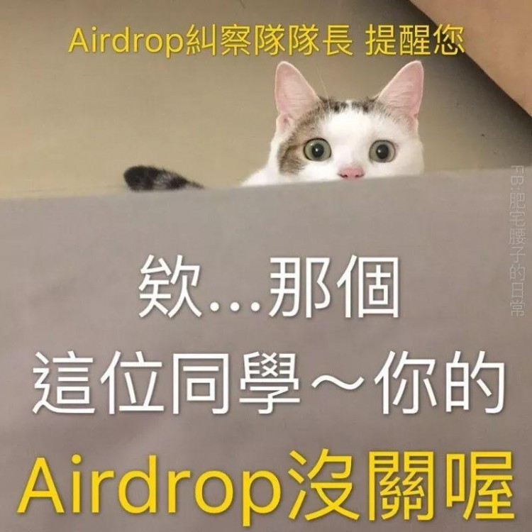 在地铁上手机蓝牙忘了关小猫咪这样做来友情提示你