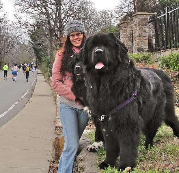 为什么养大型犬的普遍都是女生？真的是满满的安全感